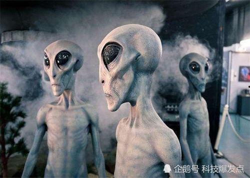 外星人来了,揭秘神秘宇宙访客的神秘之旅