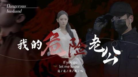 我的危险老公,揭秘婚姻中的暗流涌动