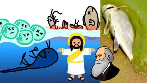 今天开始是人类,人类迈向全新纪元