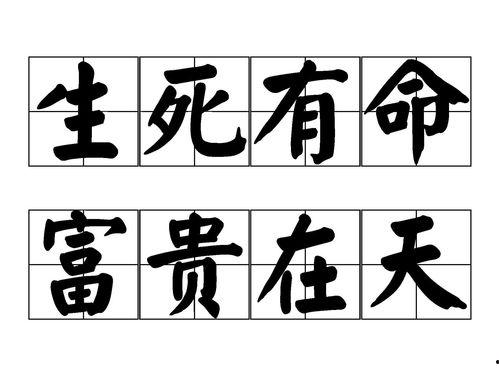生死有命,探寻命运的奥秘与人生哲理